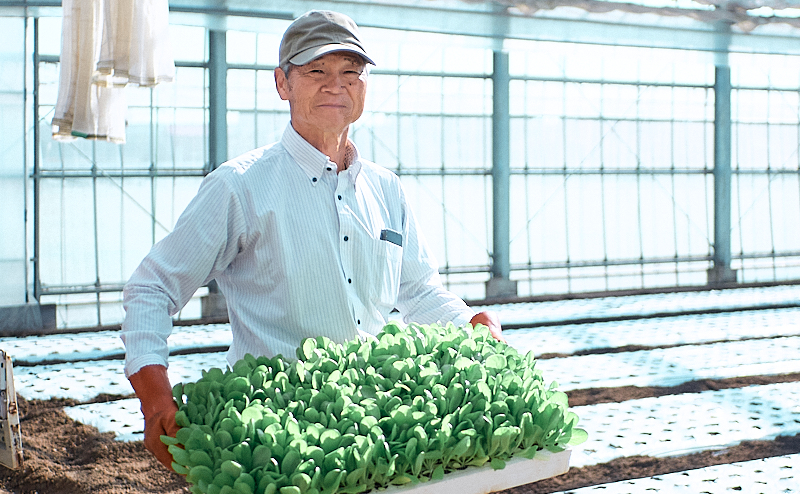 代表 長谷川 正義