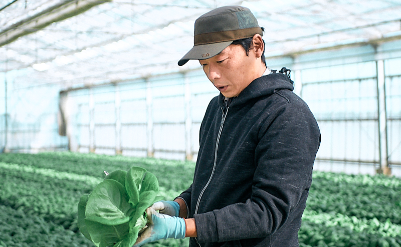 副代表 長谷川 幸治