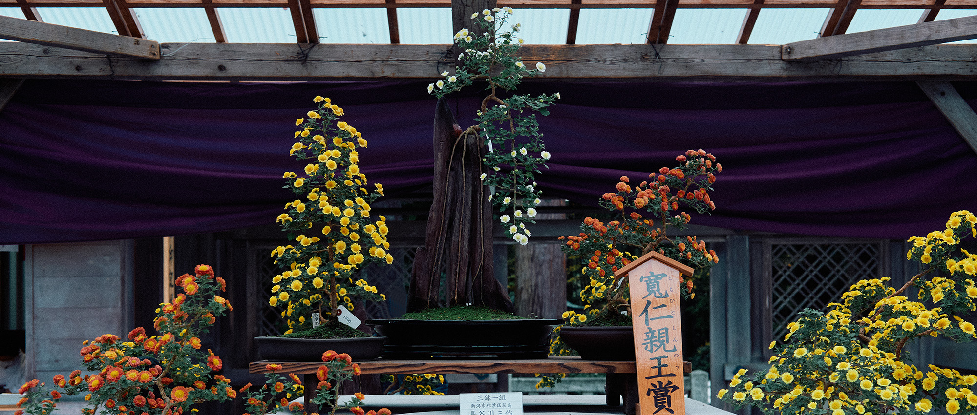 新潟市秋葉区 長谷川さま